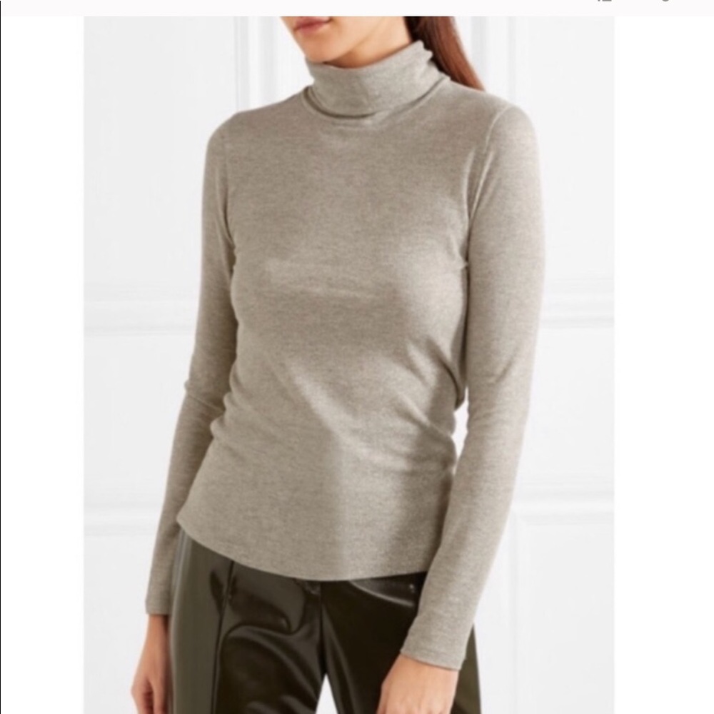 Madewell Shimmer Turtle Neck